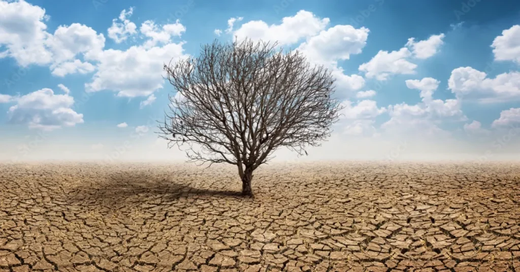 مالیات بر اراضی بایر